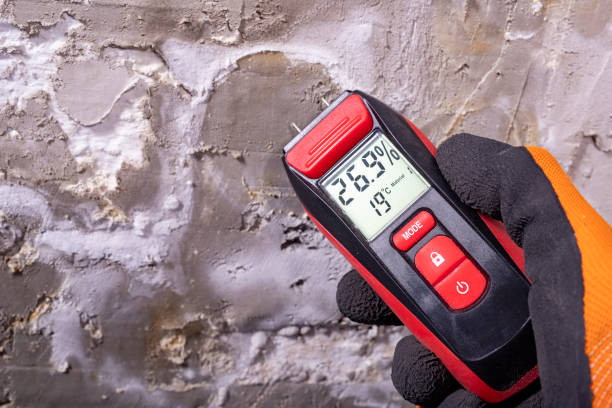 Best Post-Remediation Services in New Boston, TX