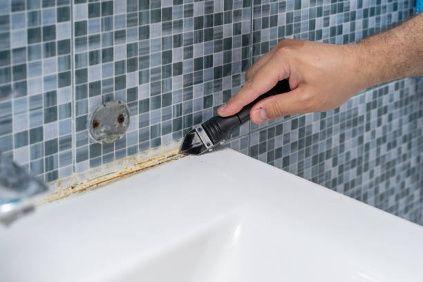 New Boston, TX Mold Remediation Company